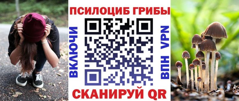 Псилоцибиновые грибы Magic Shrooms  сколько стоит  Партизанск 